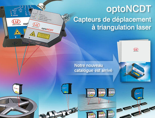 header-France-Newsletter_LDMI-08-2012